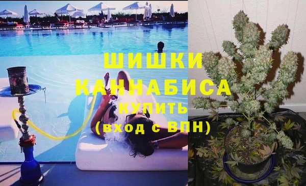 индика Арсеньев
