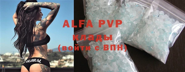 индика Арсеньев
