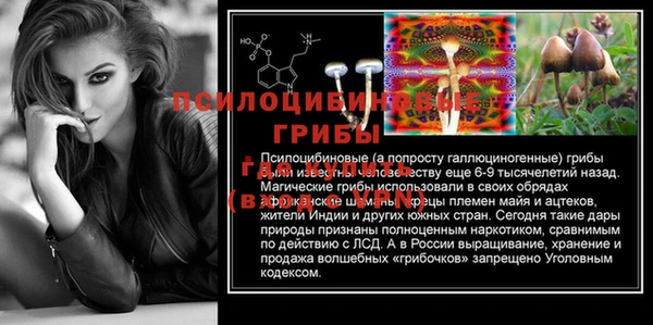 индика Арсеньев