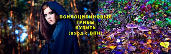 индика Арсеньев