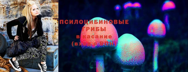 индика Арсеньев