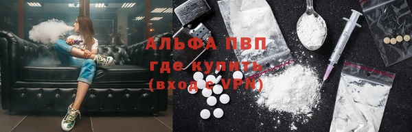 индика Арсеньев