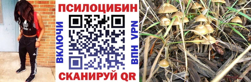 Псилоцибиновые грибы прущие грибы  Зима 